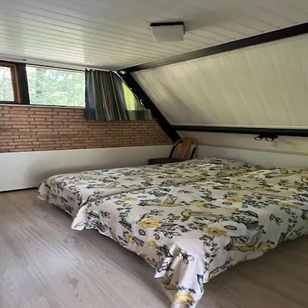 Dine & Unwind Vacation Spot, Cleaning Included Stramproy